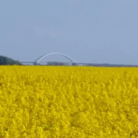 Gods06002-fewo-bie-de-reede * Gollendorf