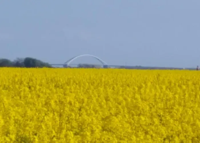 Gods06002-fewo-bie-de-reede * Gollendorf